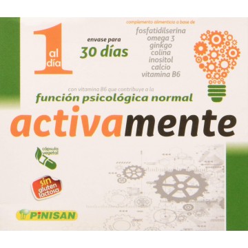 PINISAN ACTIVAMENTE 15 VIALES DE 10 ML